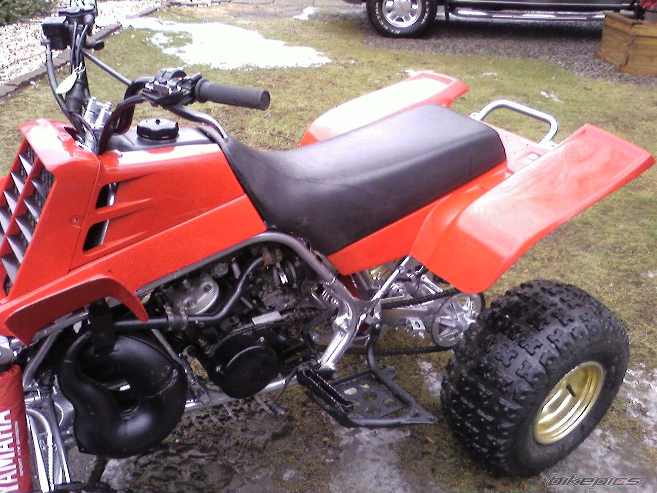 Photo 1207257