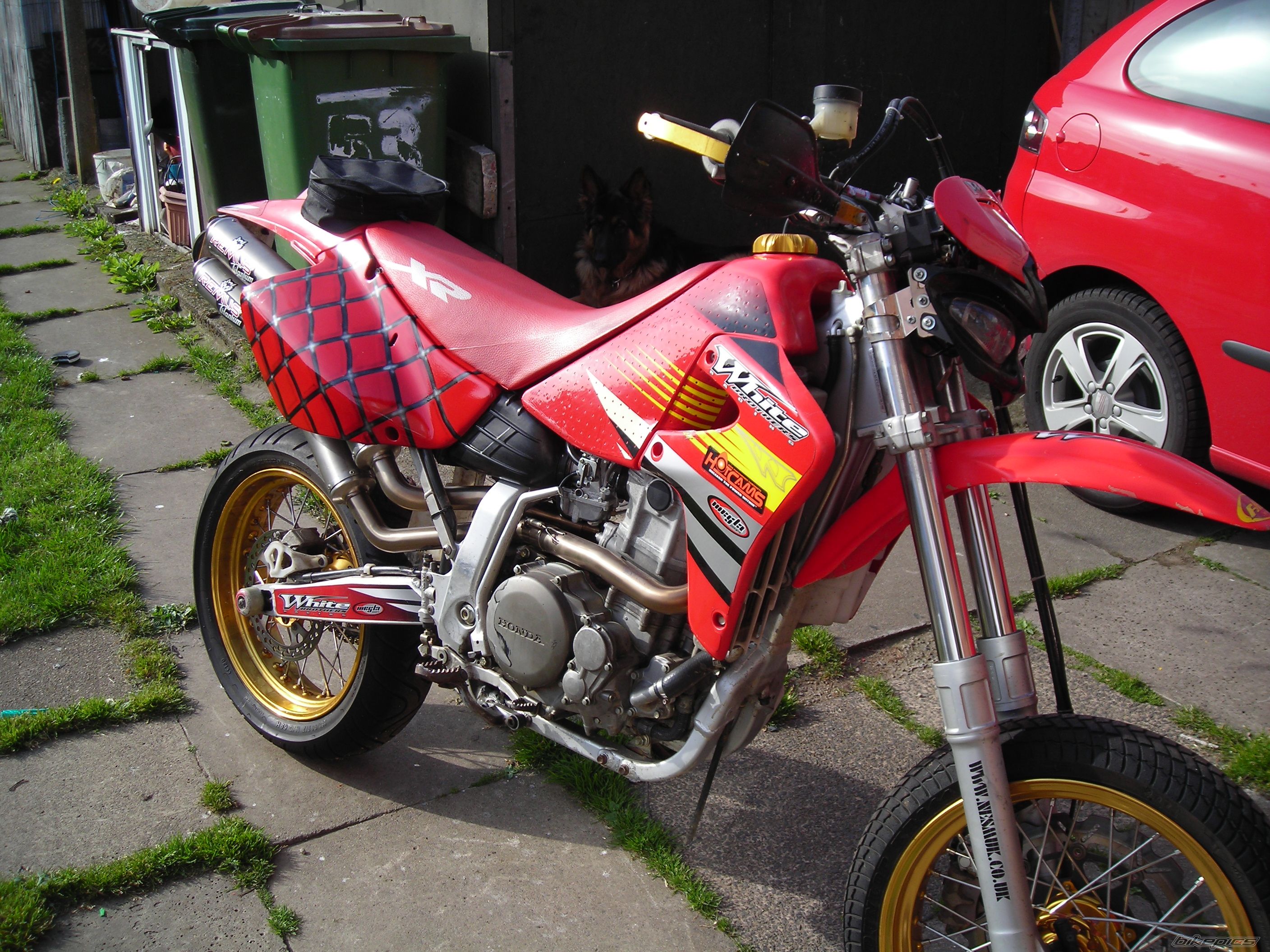 Photo 1207383