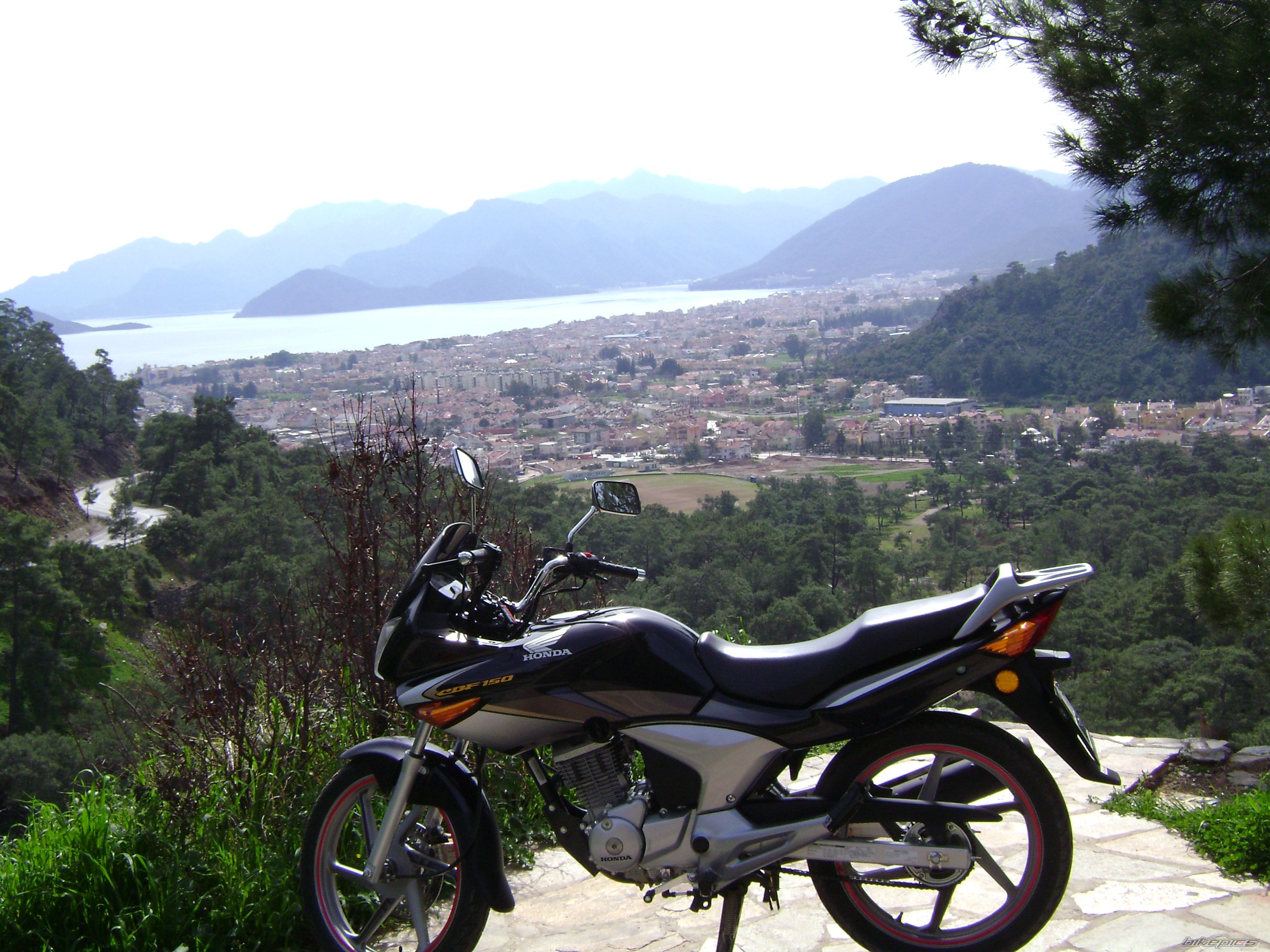 Photo 1207447