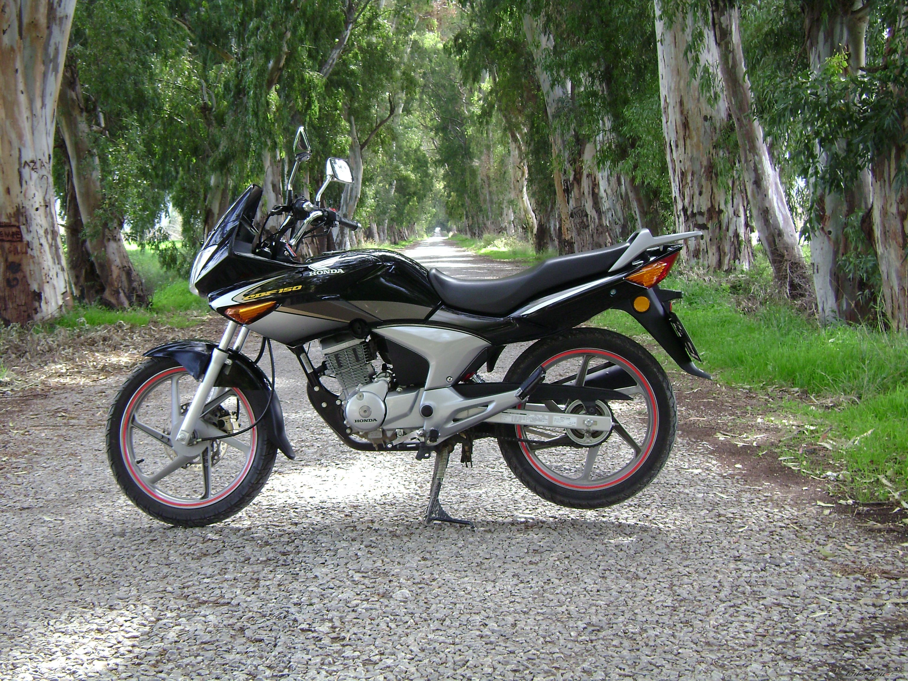 Photo 1207460