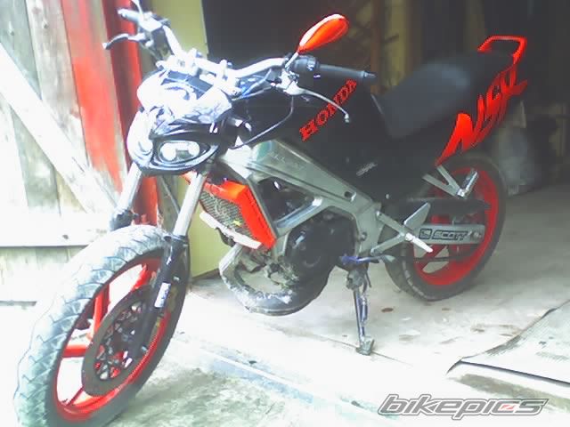 Photo 1207490