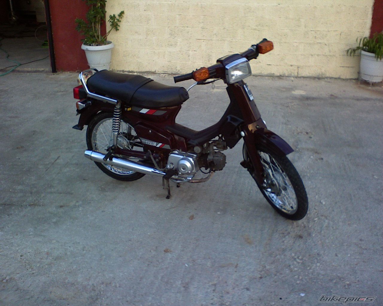 Photo 1207624