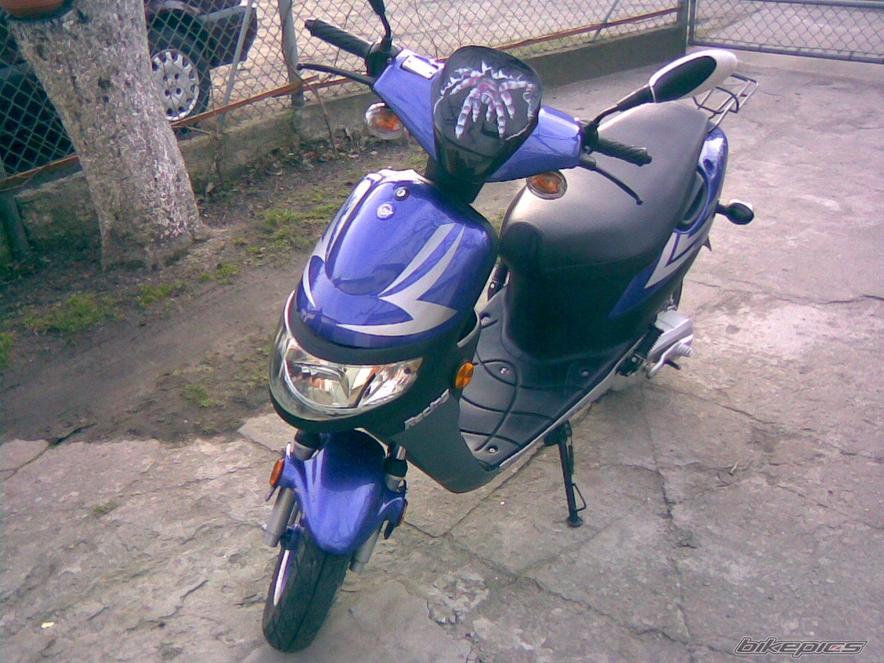 Photo 1207683