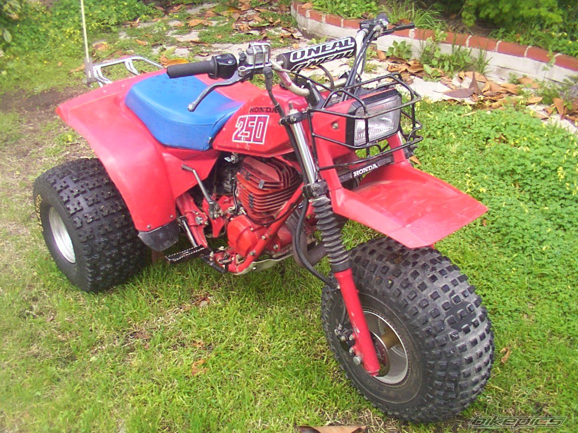 Photo 1207796