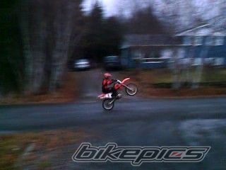 Photo 1207922