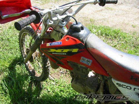 Photo 1207930