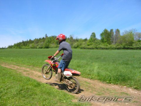 Photo 1207932