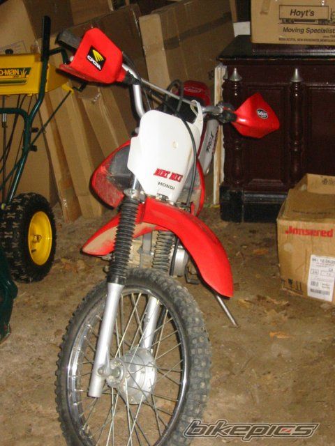 Photo 1207949