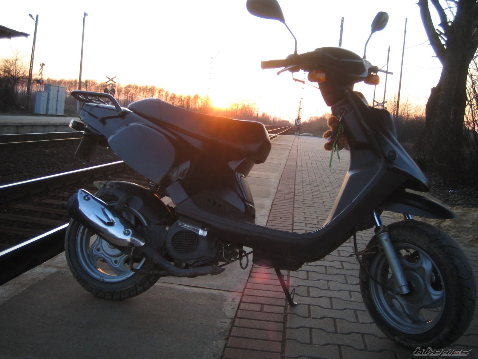 Photo 1207954