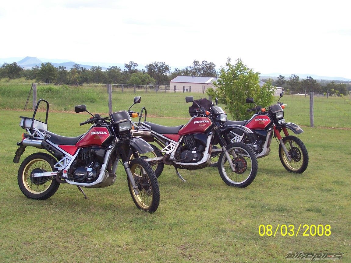 Photo 1208327