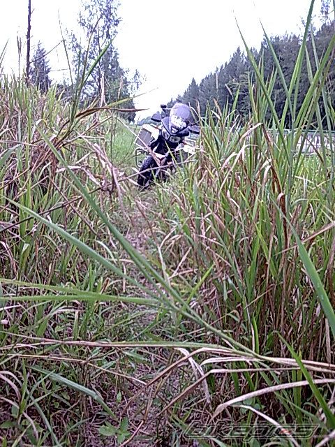 Photo 1208345