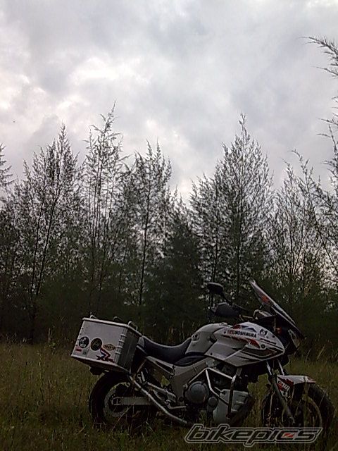 Photo 1208347