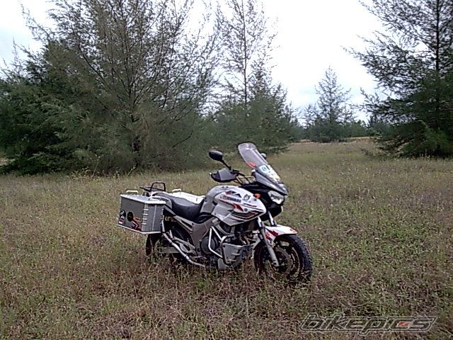 Photo 1208348
