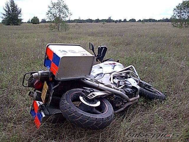 Photo 1208352