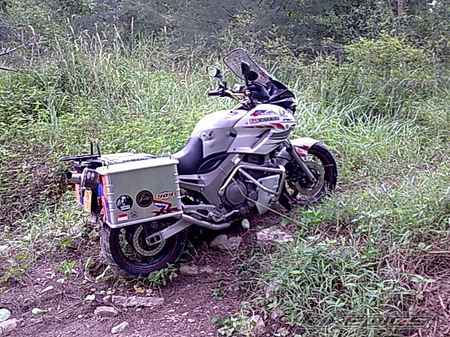 Photo 1208354