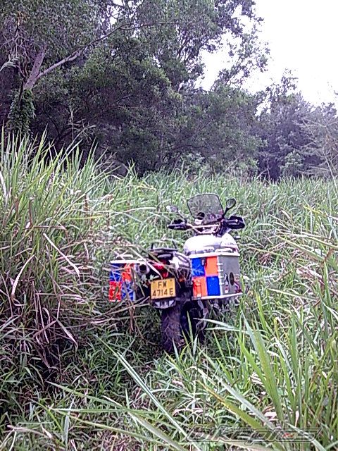 Photo 1208355