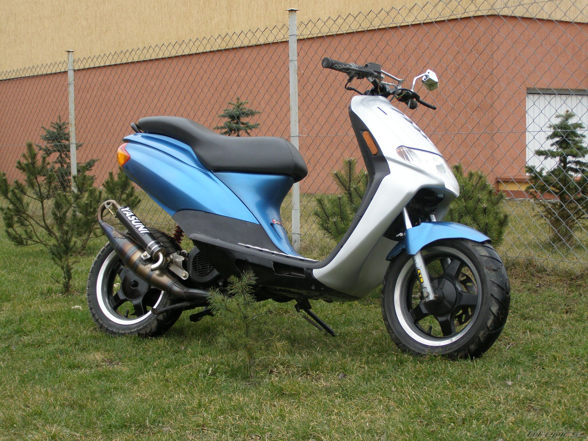 Photo 1208447