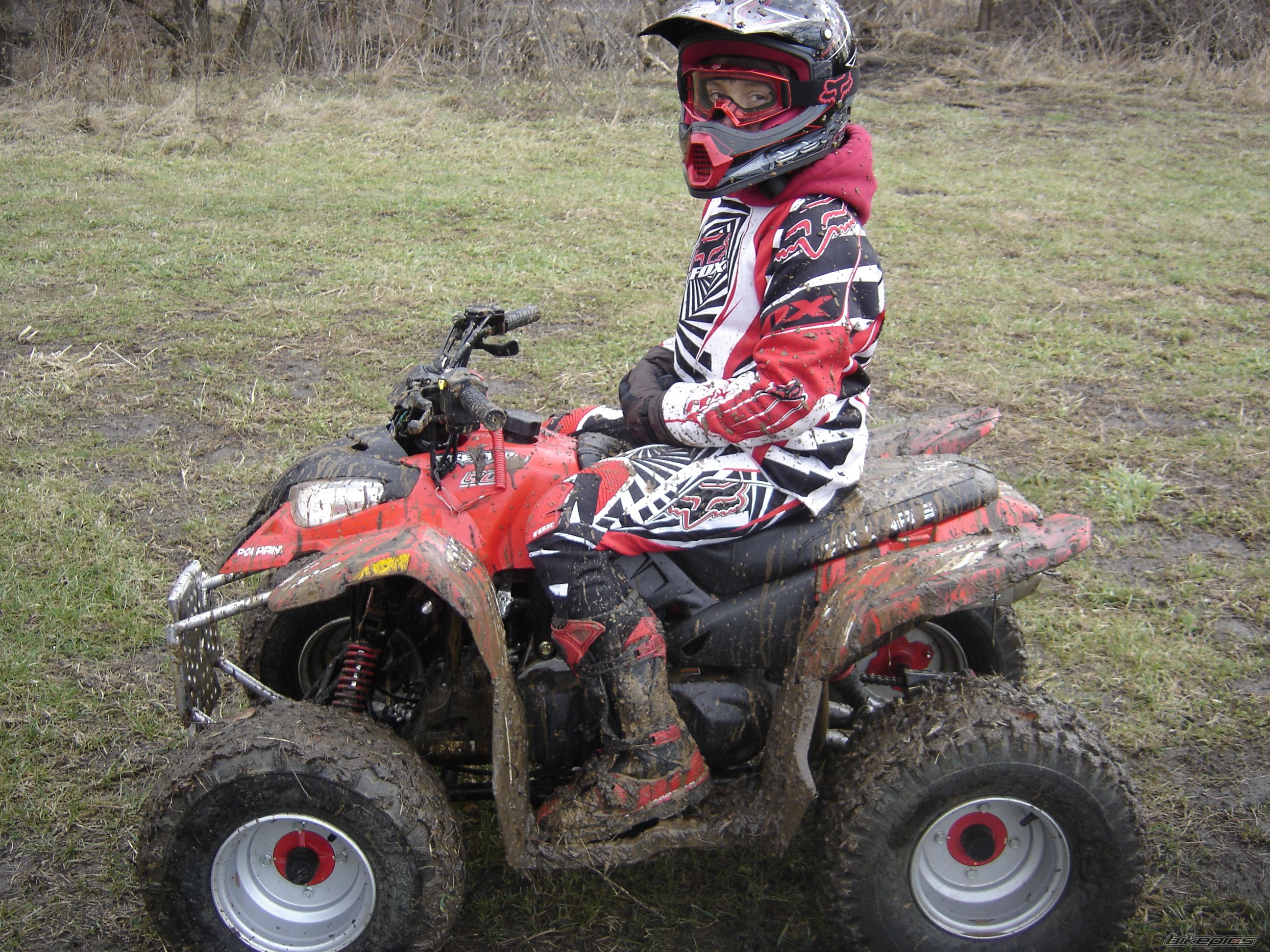 Photo 1208453