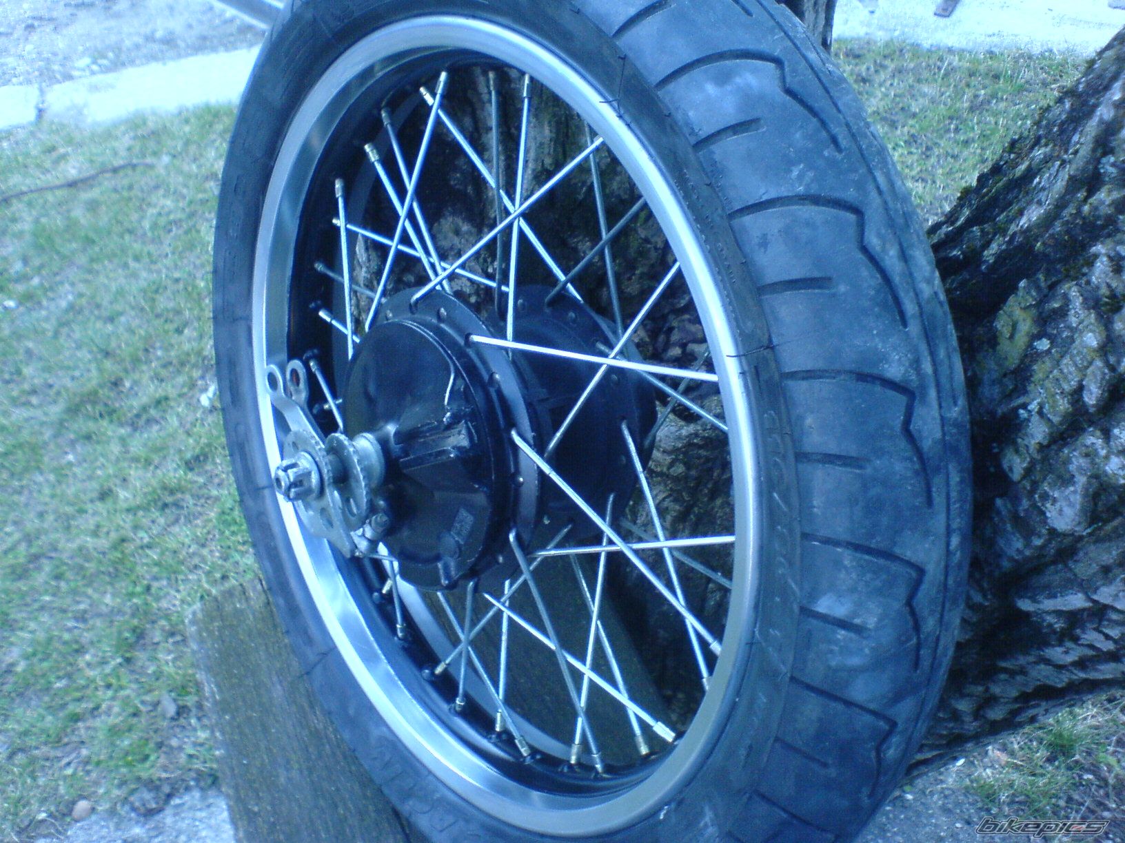 Photo 1208582