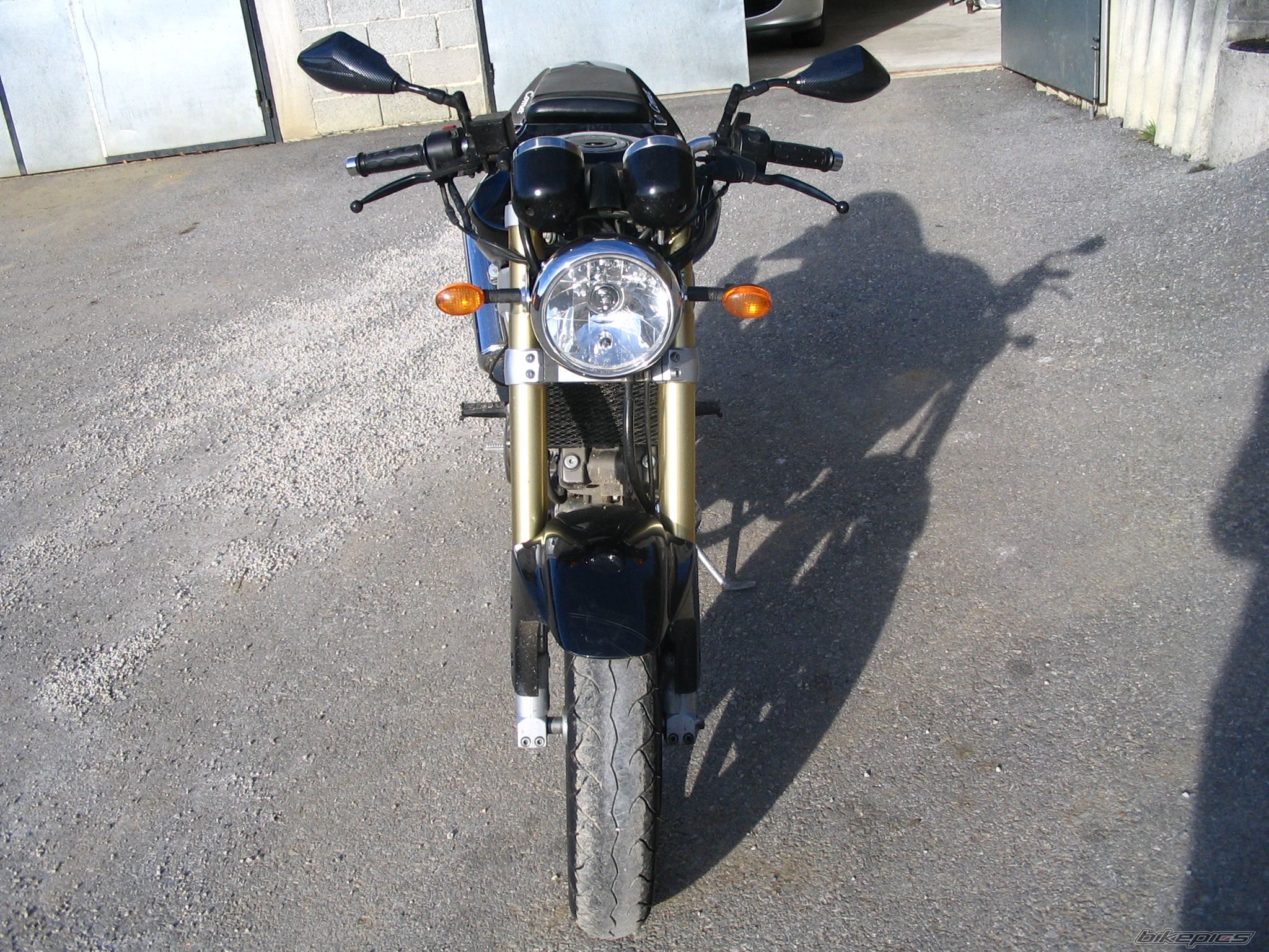 Photo 1208659