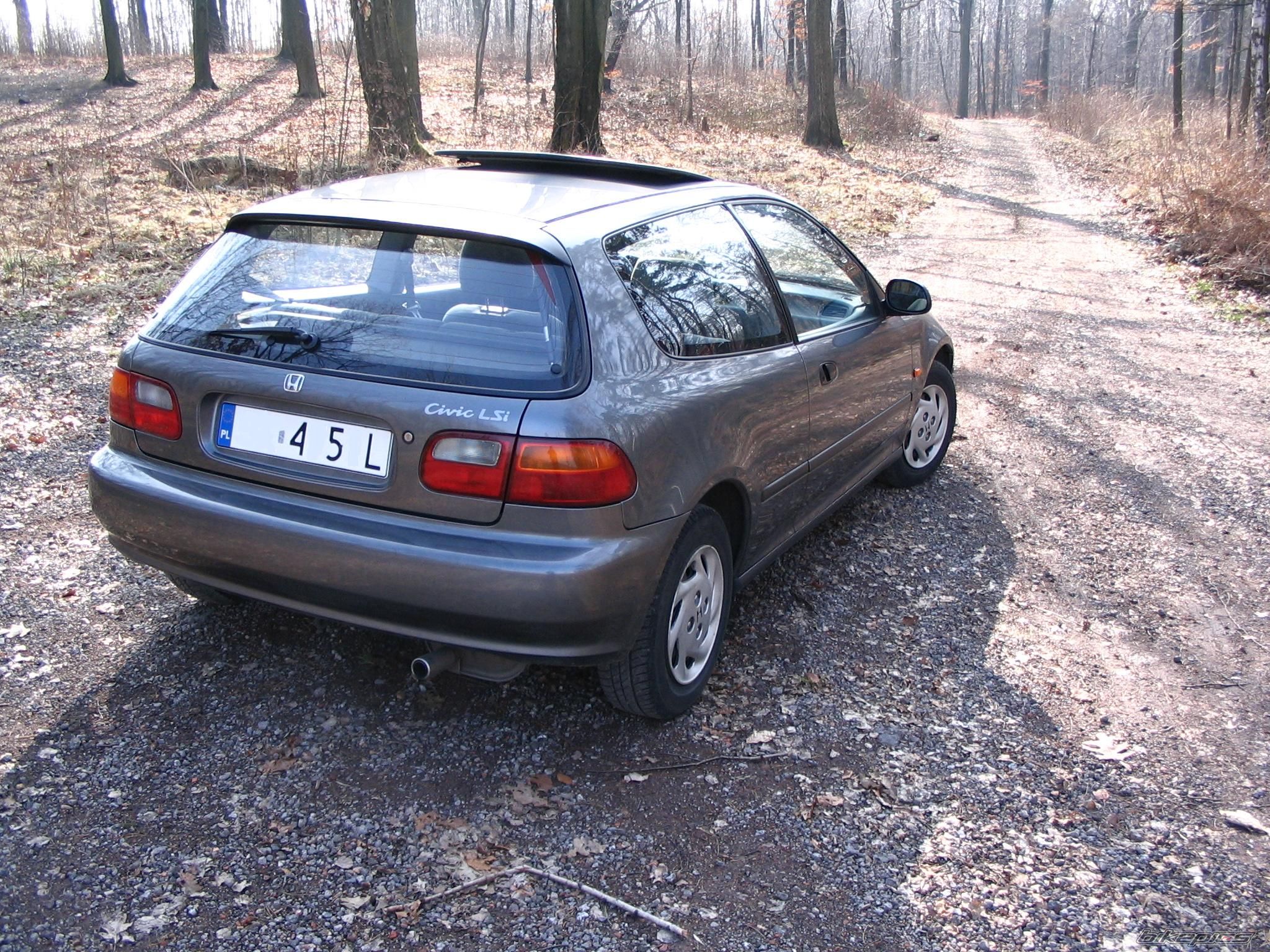 Photo 1208697