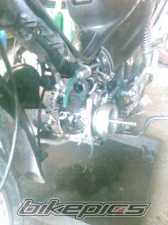 Photo 1208878