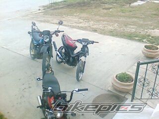 Photo 1208889