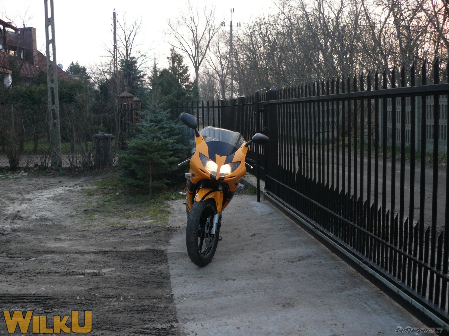 Photo 1208931