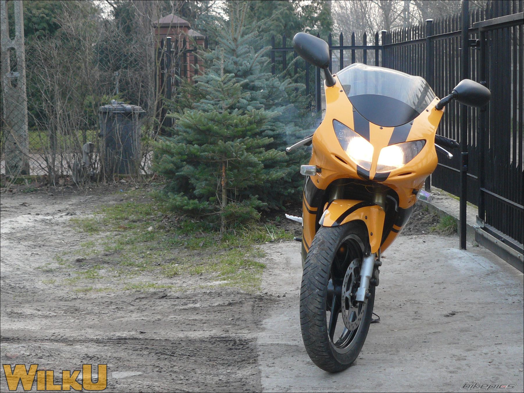 Photo 1208932
