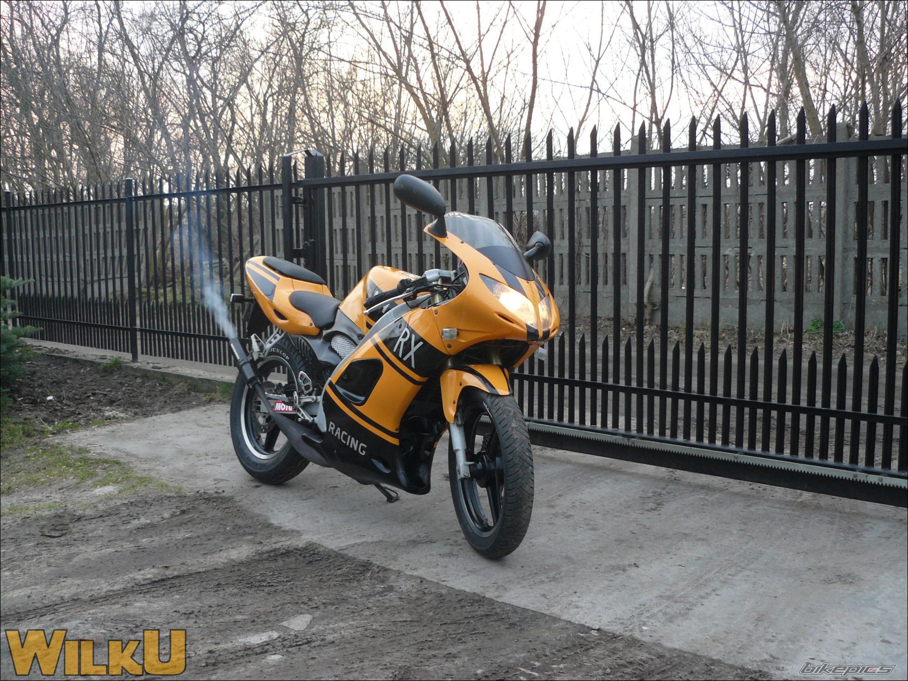 Photo 1208946