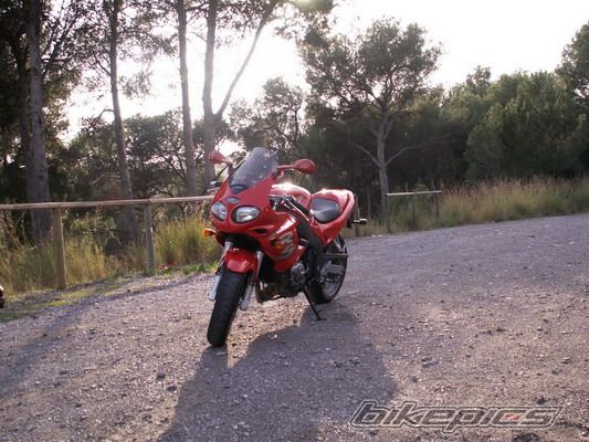 Photo 1208953
