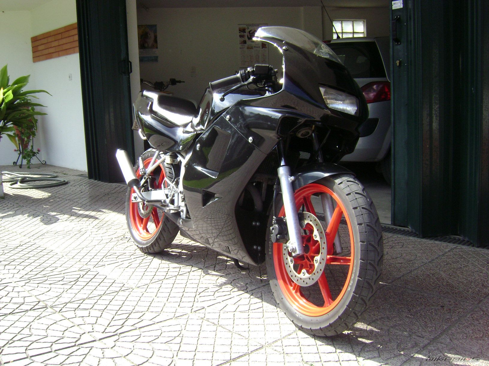 Photo 1208975