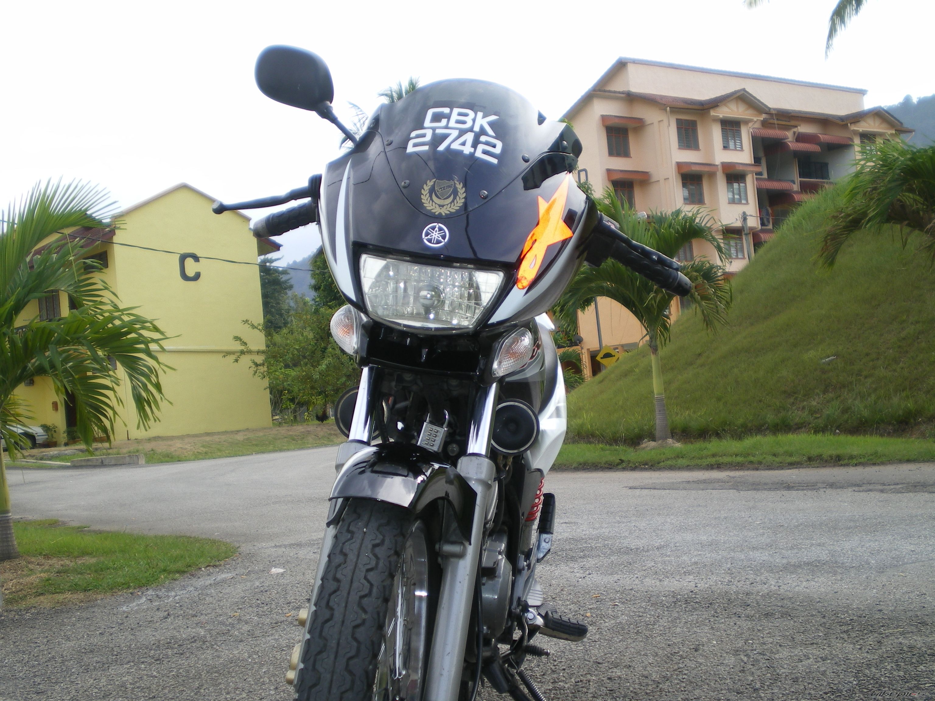 Photo 1209424