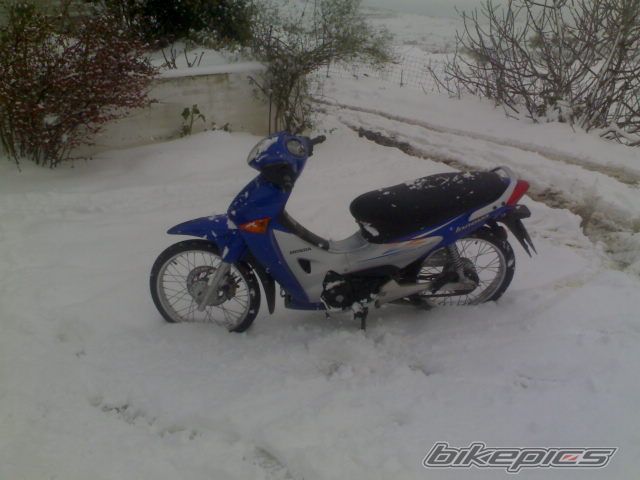 Photo 1209550