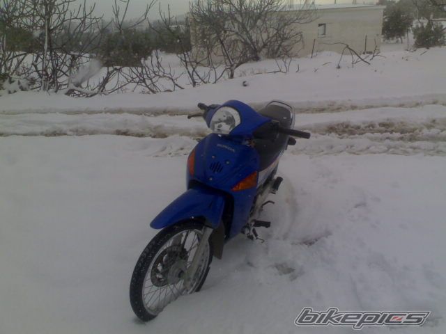 Photo 1209551