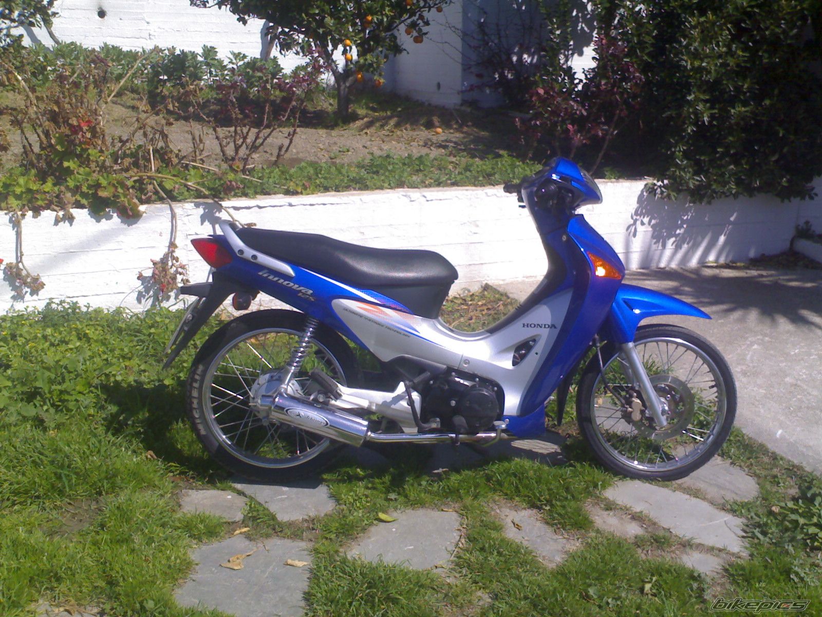 Photo 1209597