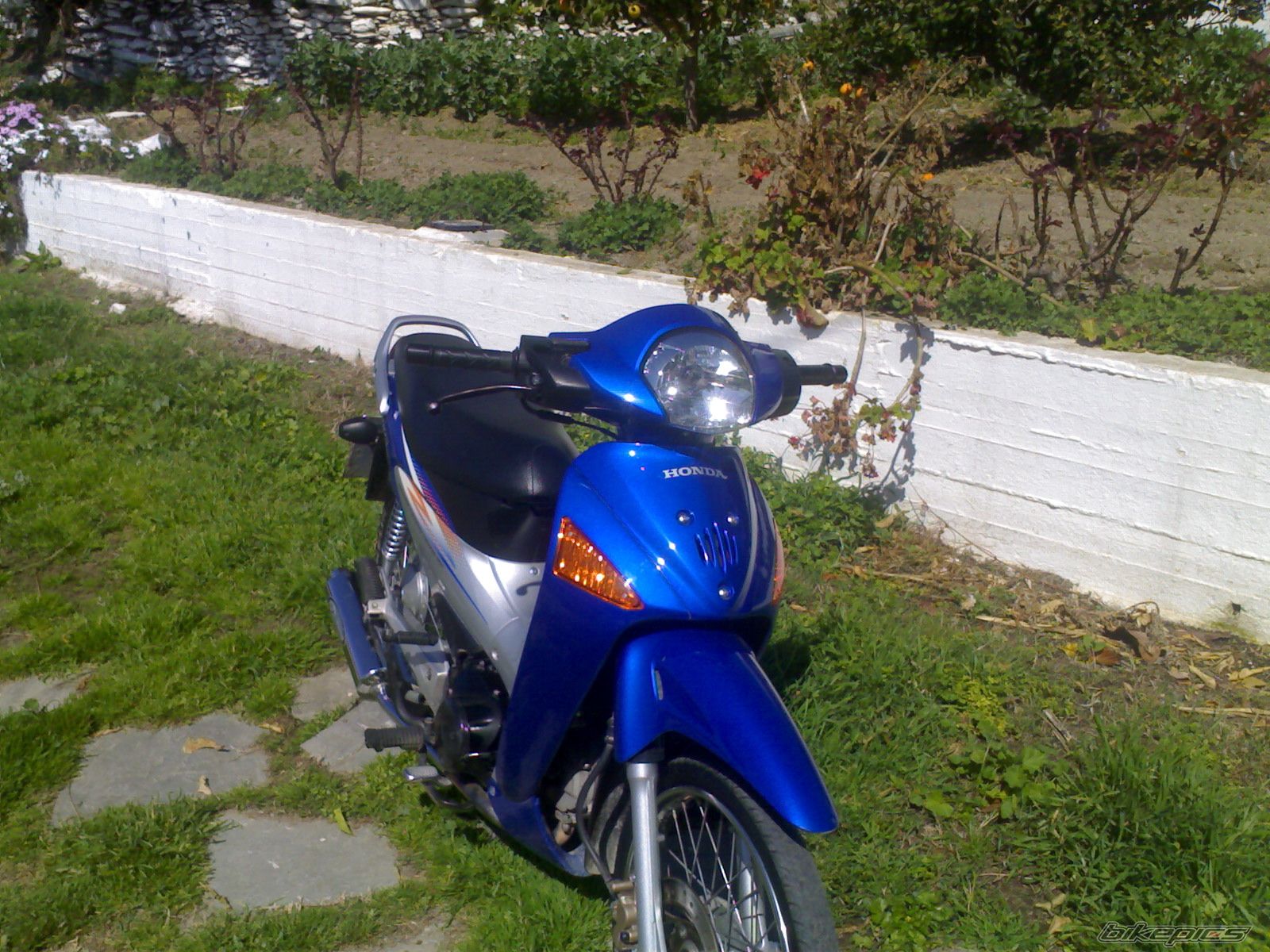 Photo 1209604