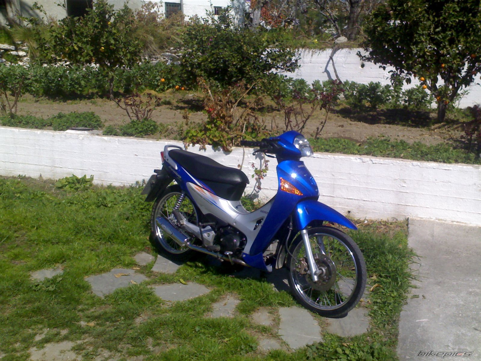 Photo 1209623