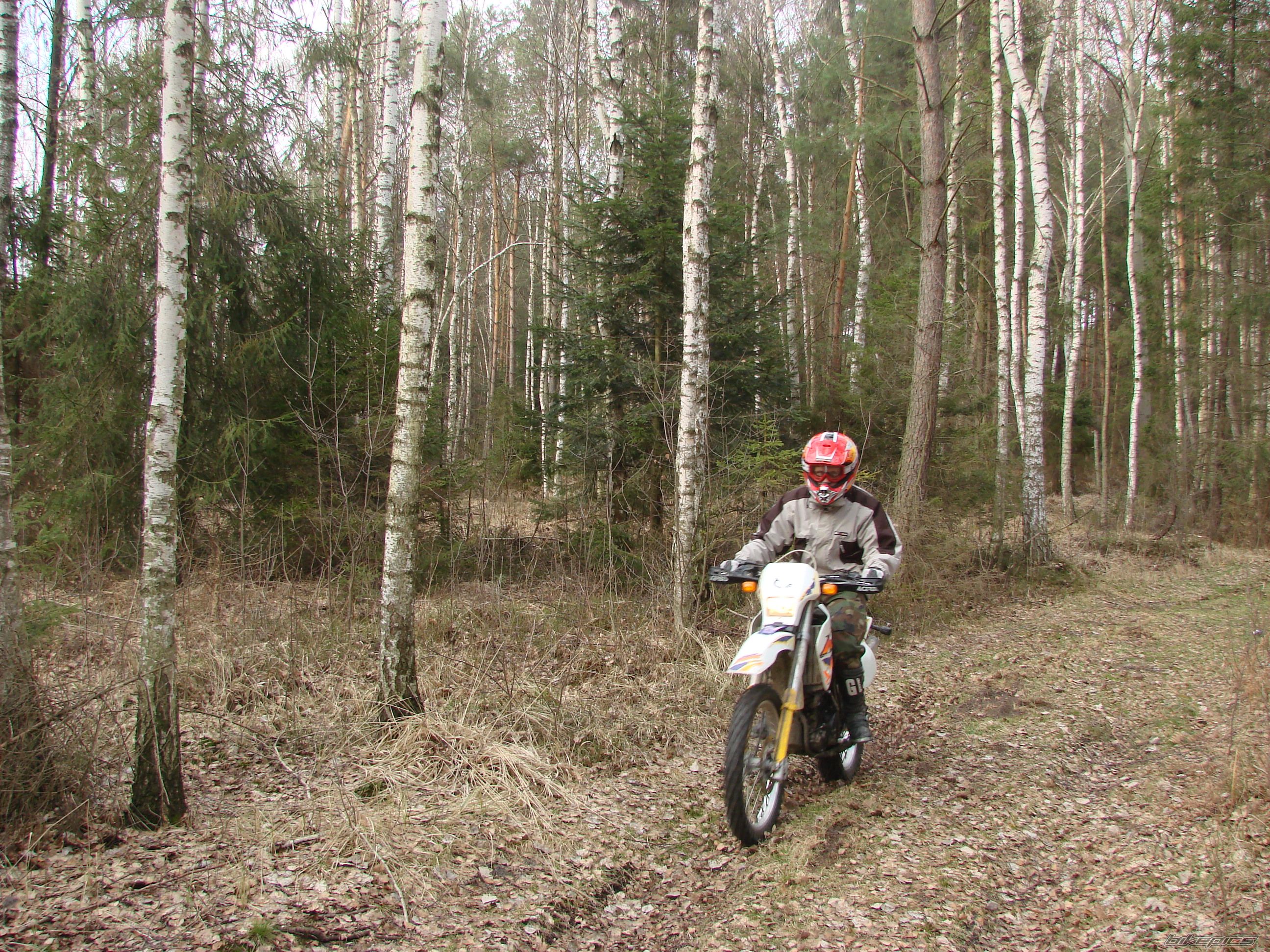Photo 1209937