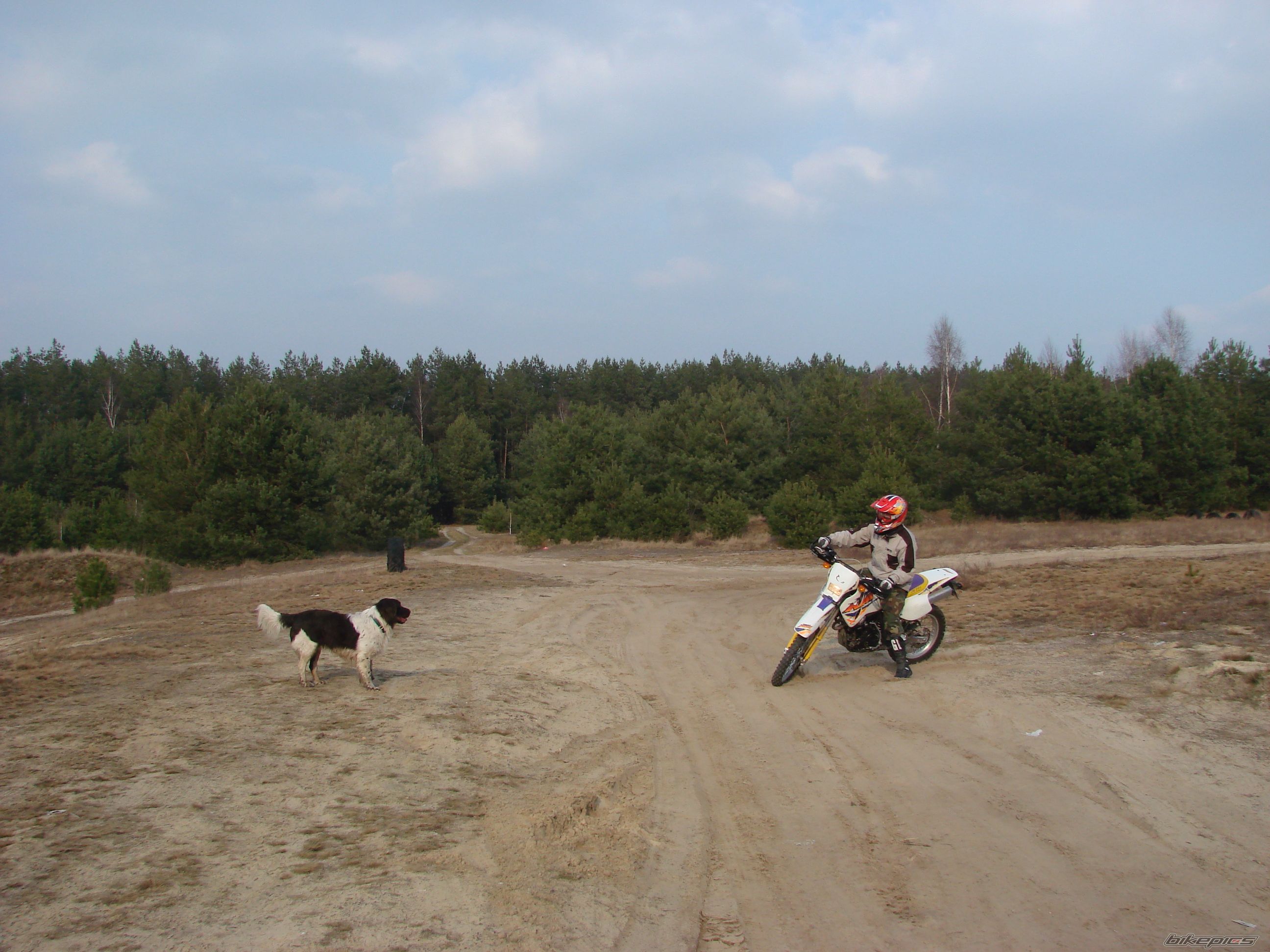 Photo 1209945