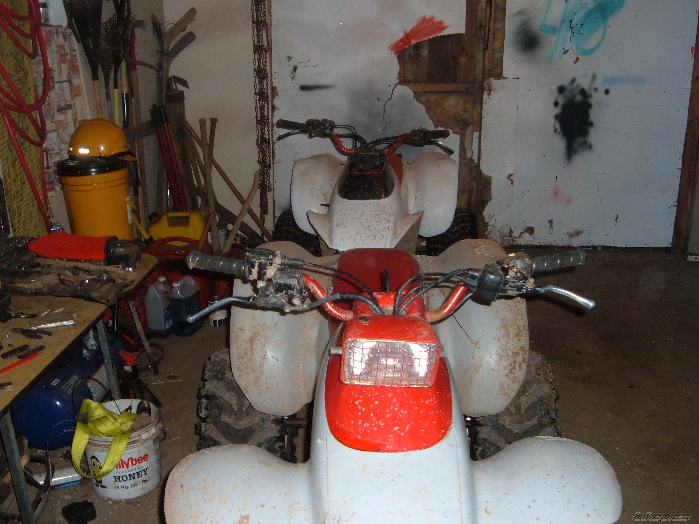 Photo 1209967