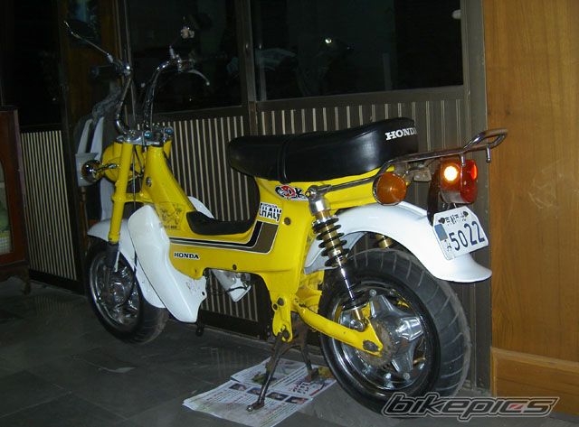 Photo 1210008
