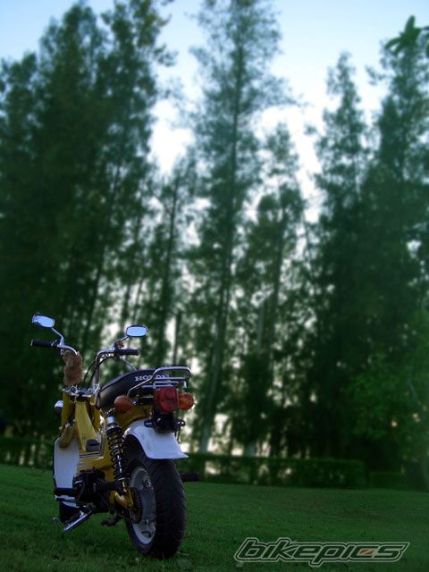 Bike Photo 1210023