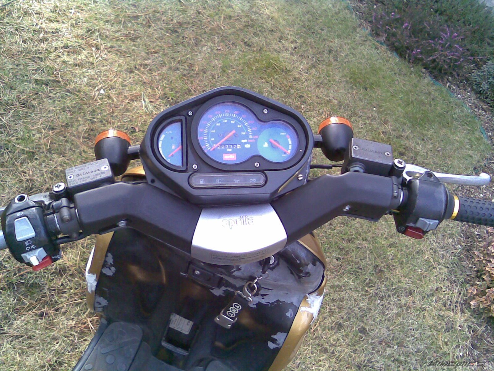 Photo 1210137