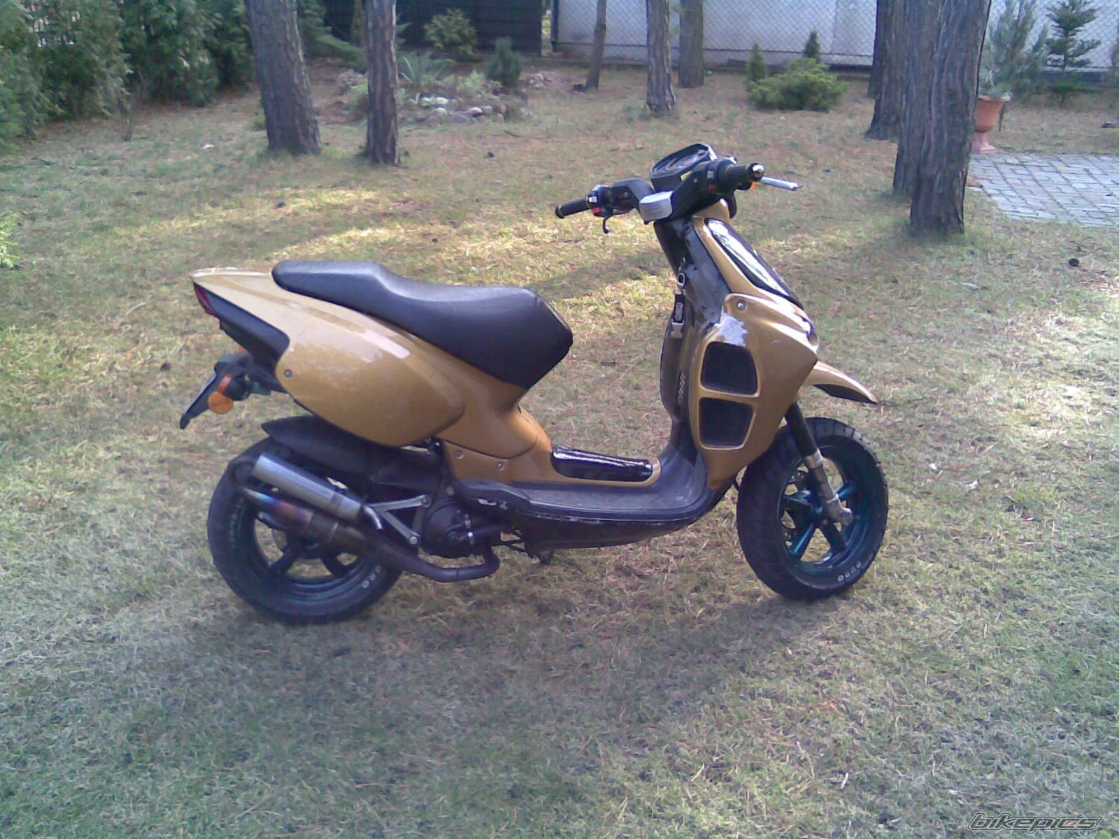 Photo 1210142