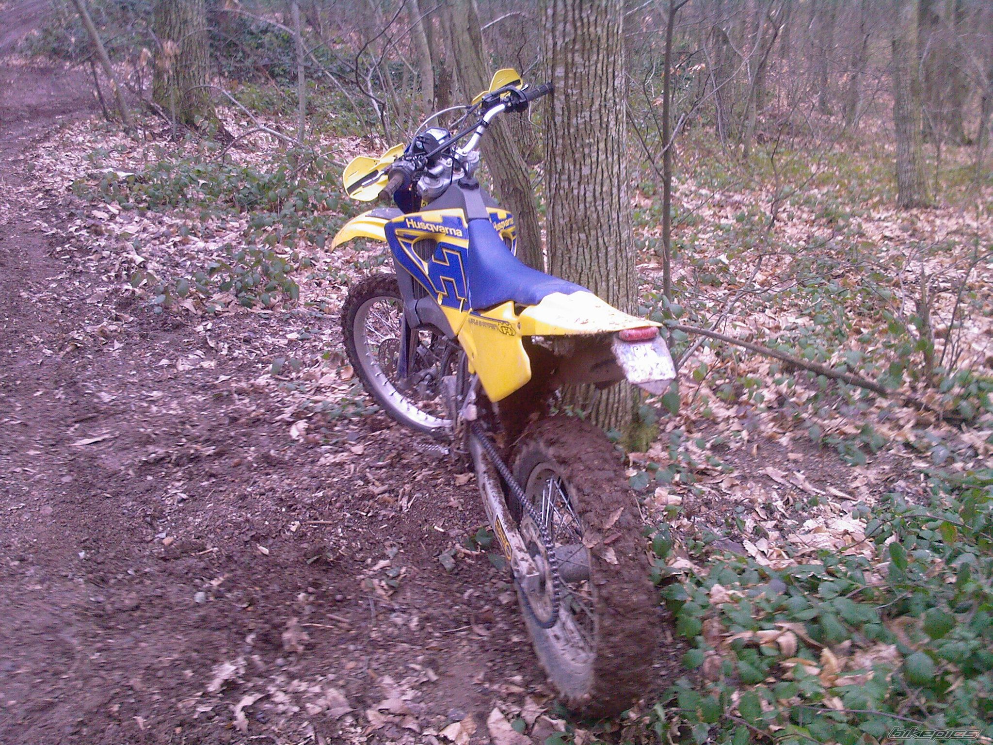 Photo 1210160