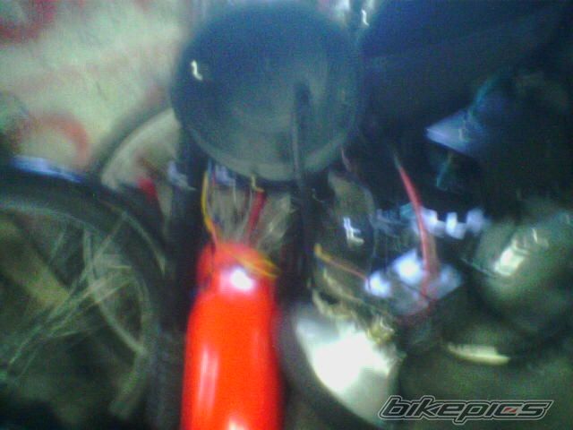 Photo 1210259