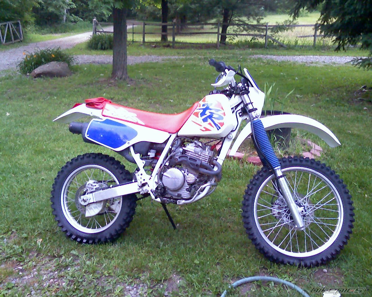Photo 1210320
