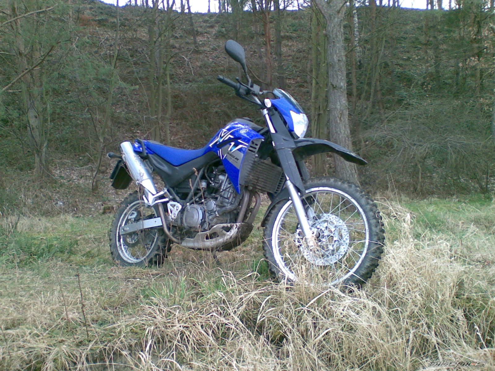 Photo 1210360