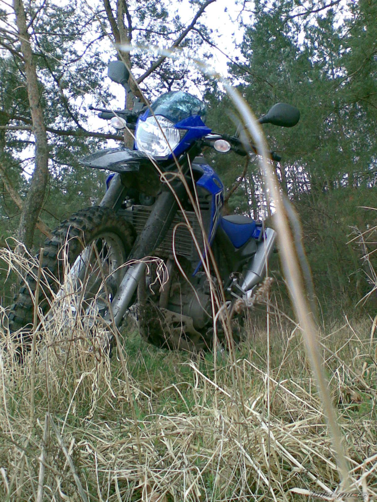 Photo 1210367